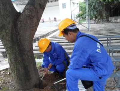 除四害，白蚁防治